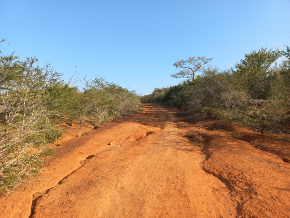 mkaazi-mwahera-ranch-for-leasing-5