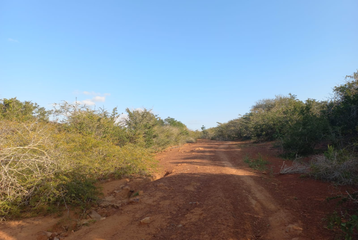 mkaazi-mwahera-ranch-for-leasing-6