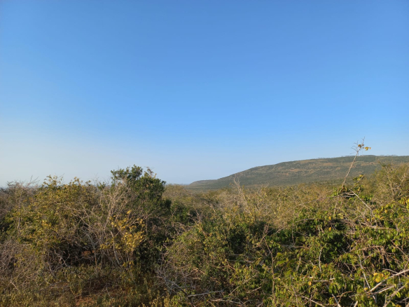 mkaazi-mwahera-ranch-for-leasing-7