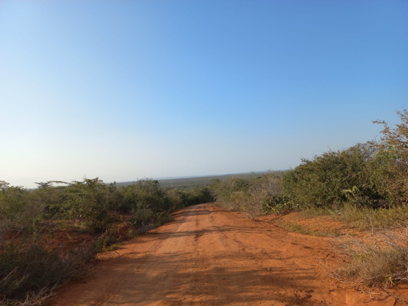 mkaazi-mwahera-ranch-for-leasing-9