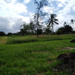 whatsapp-image-2023-08-15-at-14-22-19