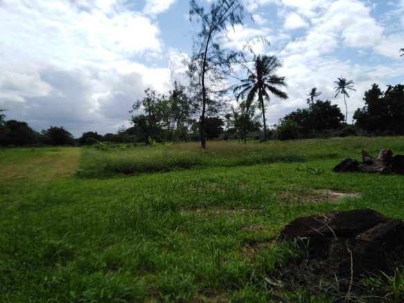 whatsapp-image-2023-08-15-at-14-22-19