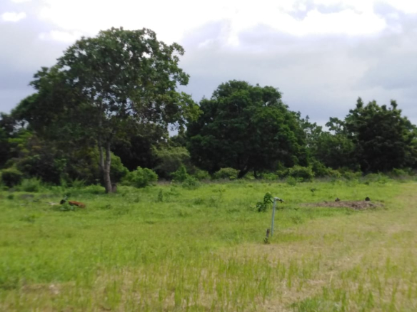 whatsapp-image-2023-08-15-at-14-22-21-1-2