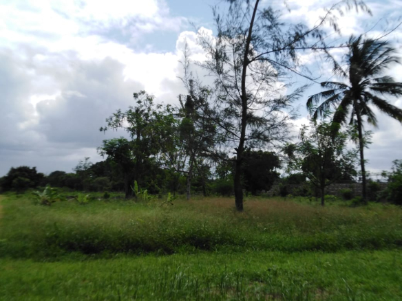 whatsapp-image-2023-08-15-at-14-22-21-2-2