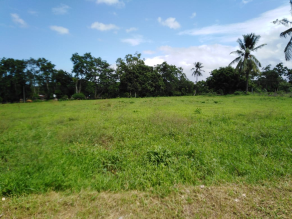 whatsapp-image-2023-08-15-at-14-22-22-1