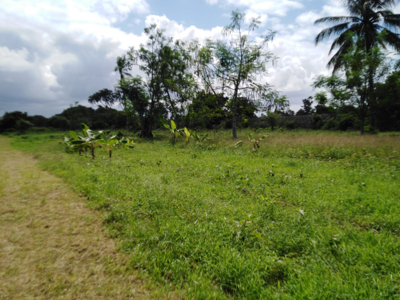 whatsapp-image-2023-08-15-at-14-22-22