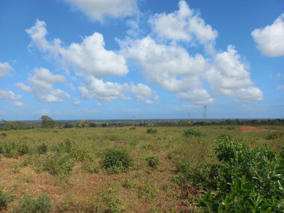 3.5 Acres prime land for sale in Kakuyuni