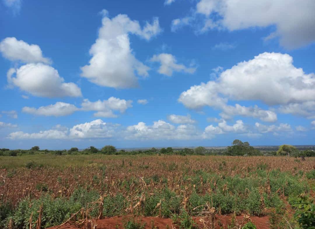 3.5 Acres prime land for sale in Kakuyuni