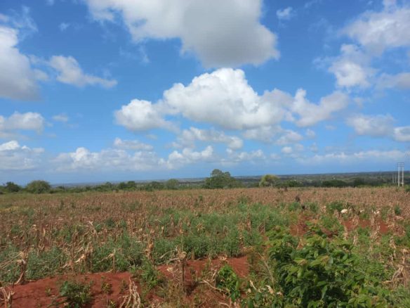 3.5 Acres prime land for sale in Kakuyuni