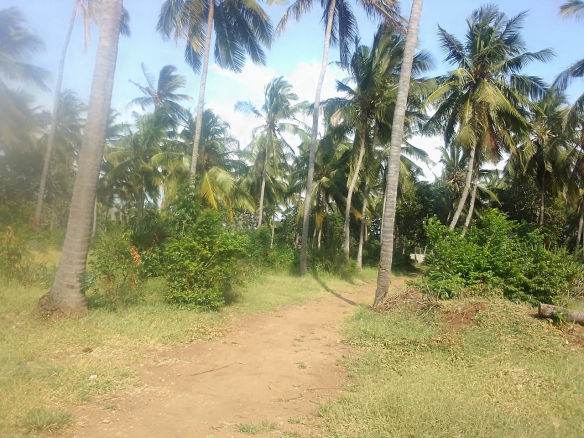 msoroni-3bedroom-6-2