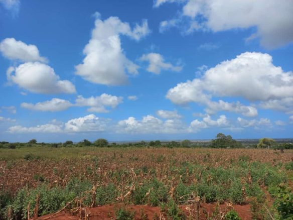 Vista Ridge Kakuyuni, residential plots for sale in Malindi
