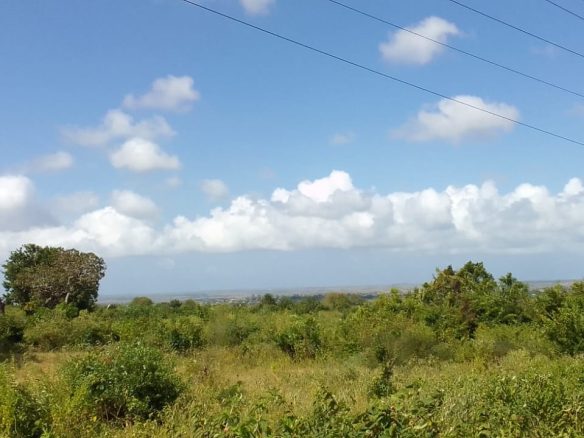 Vista Ridge Kakuyuni, residential plots for sale in Malindi