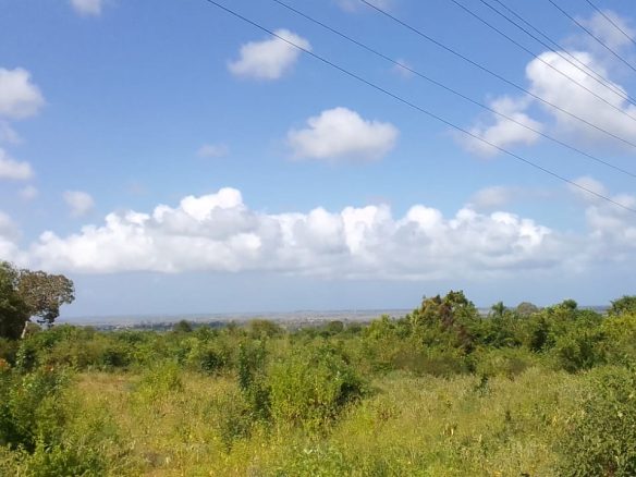 Vista Ridge Kakuyuni, residential plots for sale in Malindi