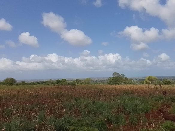 Vista Ridge Kakuyuni, residential plots for sale in Malindi