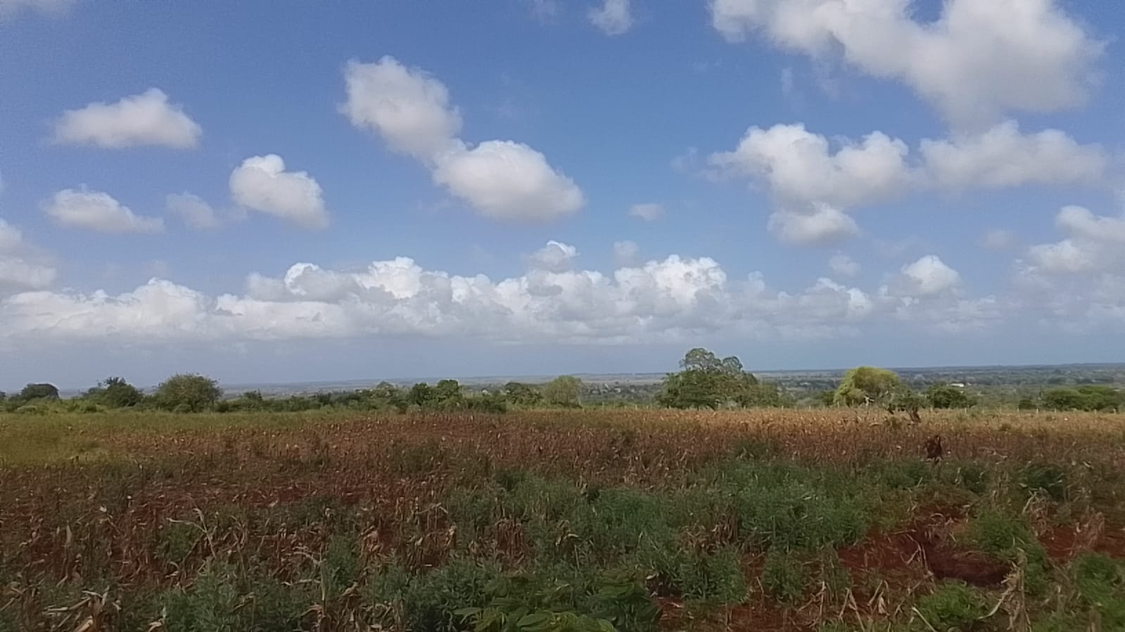 Vista Ridge Kakuyuni, residential plots for sale in Malindi