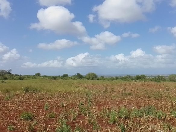 Vista Ridge Kakuyuni, residential plots for sale in Malindi
