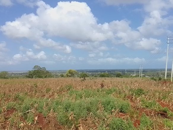 Vista Ridge Kakuyuni, residential plots for sale in Malindi