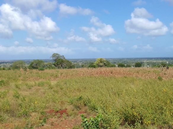 Vista Ridge Kakuyuni, residential plots for sale in Malindi