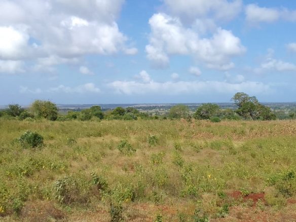 Vista Ridge Kakuyuni, residential plots for sale in Malindi