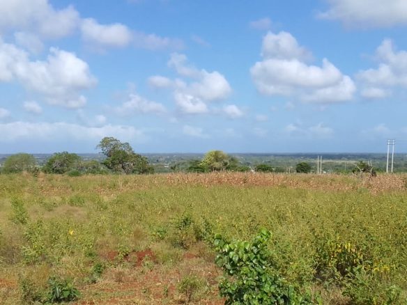 Vista Ridge Kakuyuni, residential plots for sale in Malindi