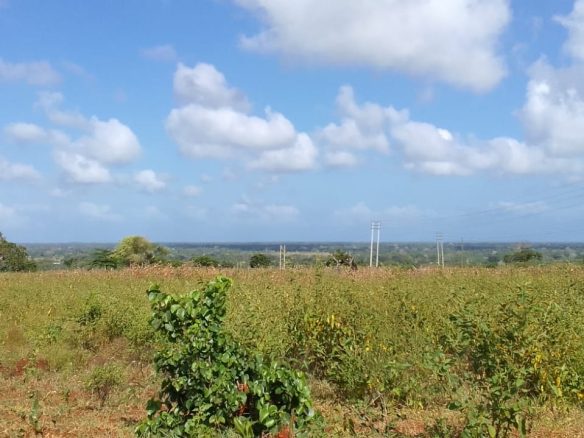 Vista Ridge Kakuyuni, residential plots for sale in Malindi