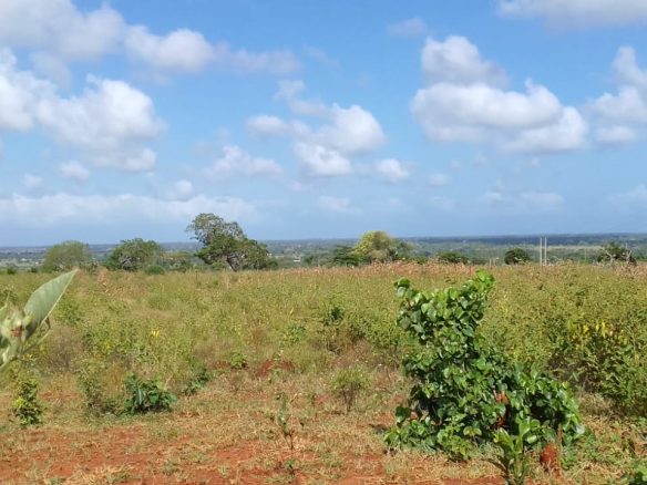 Vista Ridge Kakuyuni, residential plots for sale in Malindi