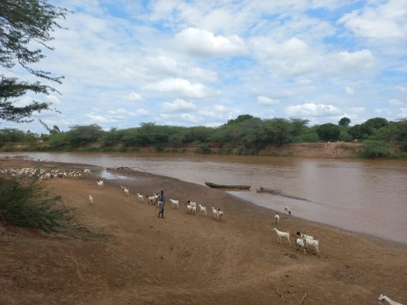 28,000 Acre Ranch for lease and for sale in River Tana County.
