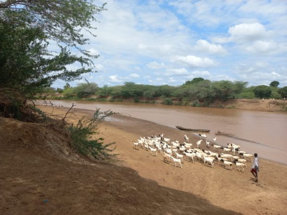 28,000 Acre Ranch for lease and for sale in River Tana County.