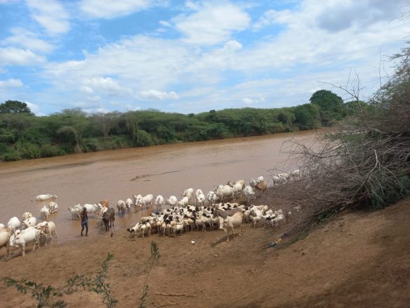 28,000 Acre Ranch for lease and for sale in River Tana County.