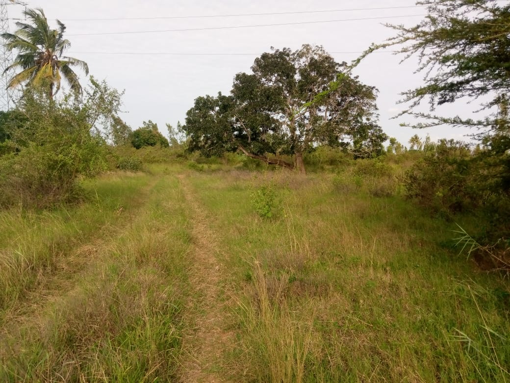 Fertile farm for sale near Malindi
