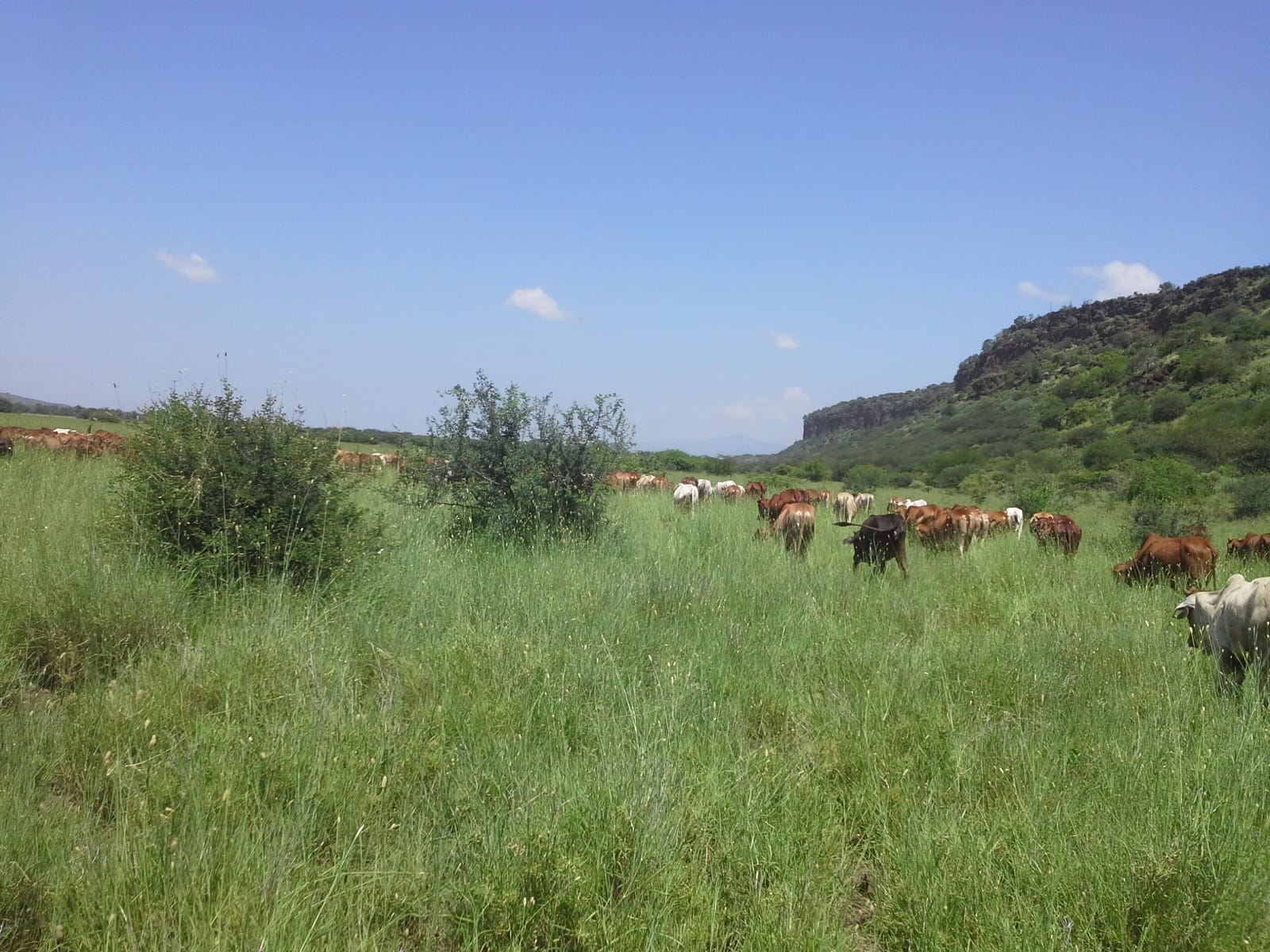 326 Acre ranch for sale in Kajiado