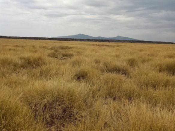 Ranch for sale in Kajiado, tinga