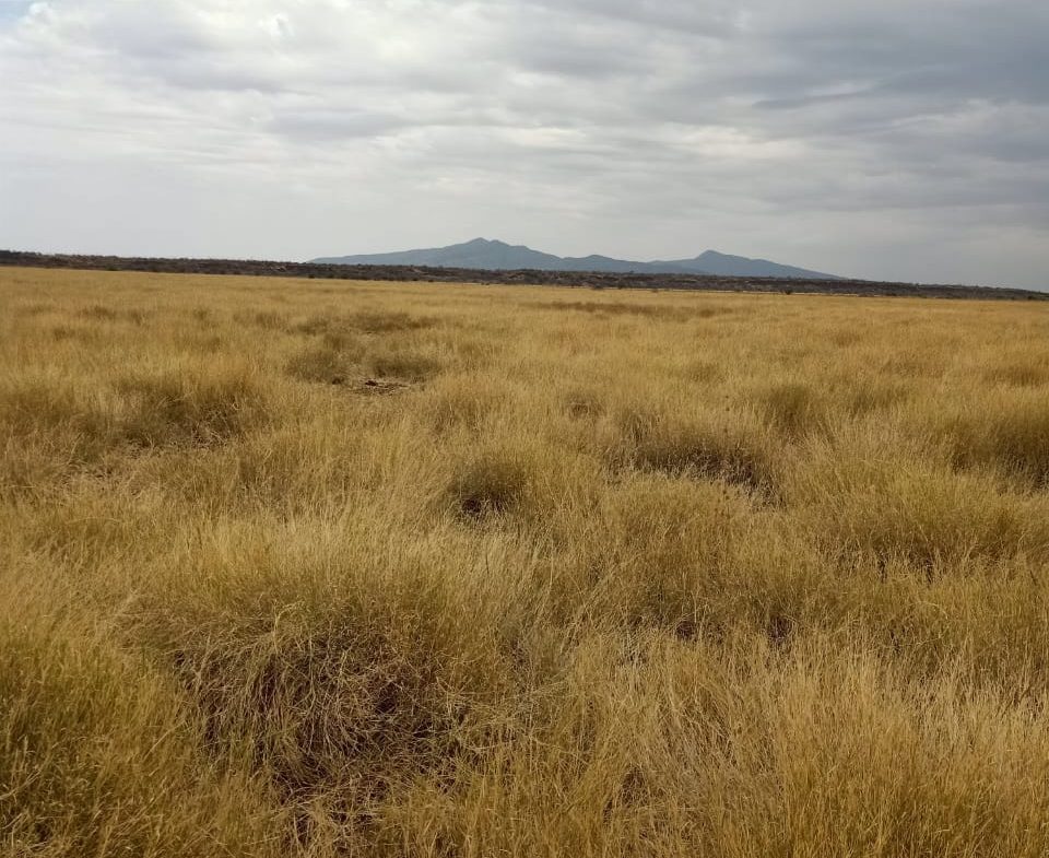 Ranch for sale in Kajiado, tinga