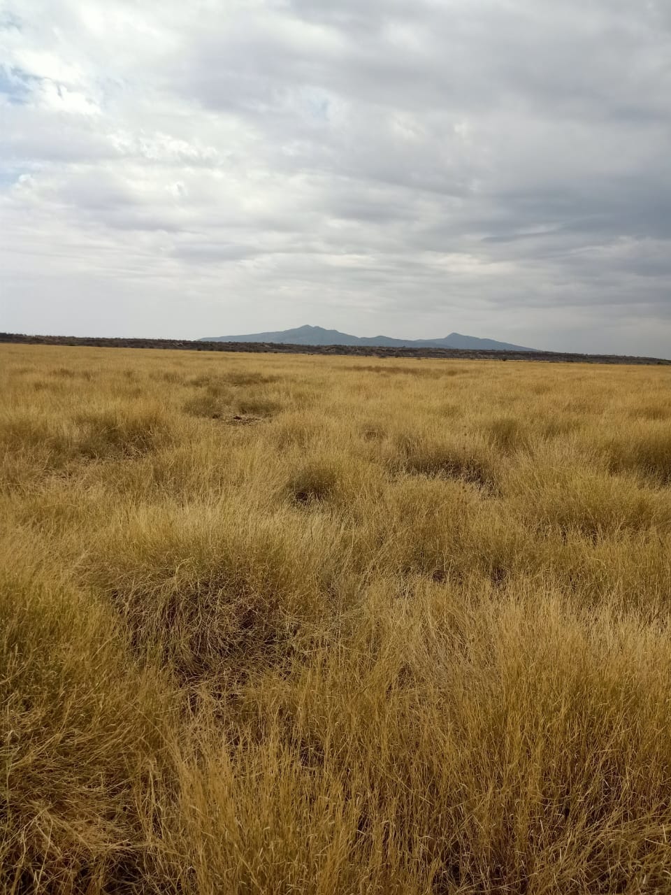 Ranch for sale in Kajiado, tinga