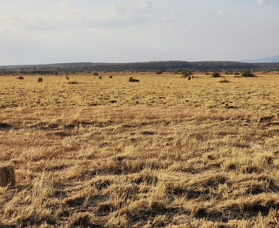 Ranch for sale in Kajiado, tinga