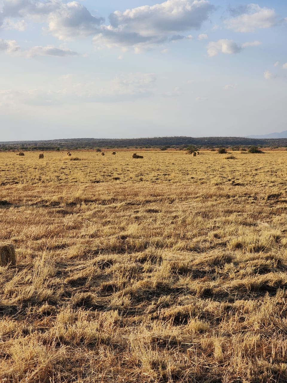 Ranch for sale in Kajiado, tinga