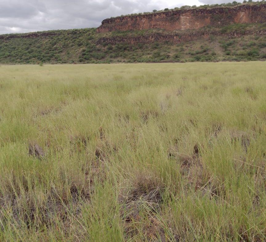 Ranch for sale in Kajiado, tinga