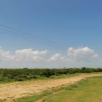 9 acres land for sale in Malindi 003
