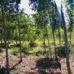 2 acre land for sale in Meru, ruiire