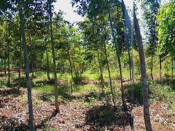 2 acre land for sale in Meru, ruiire