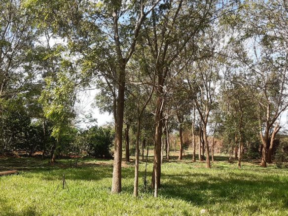 30 Acres farm land for sale, Baolala-Malindi.