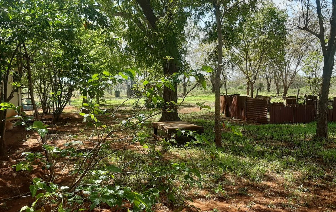 30 Acres farm land for sale, Baolala-Malindi.