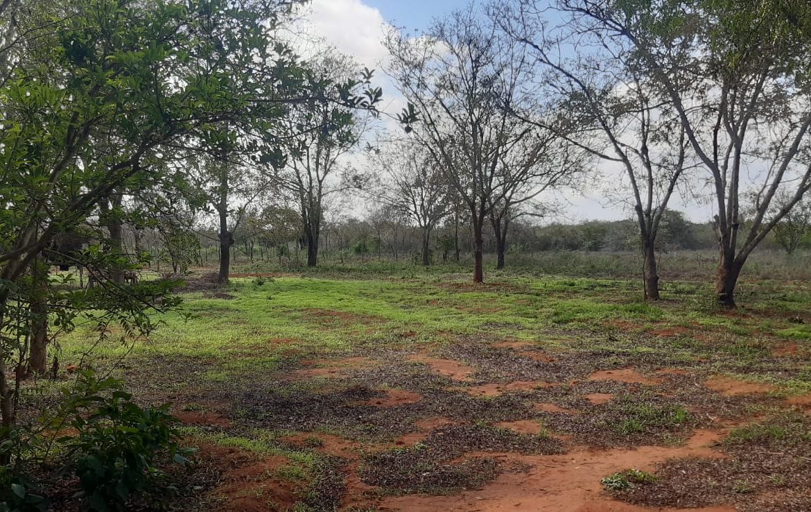 30 Acre land for sale In Malindi