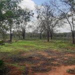 30 Acre land for sale In Malindi