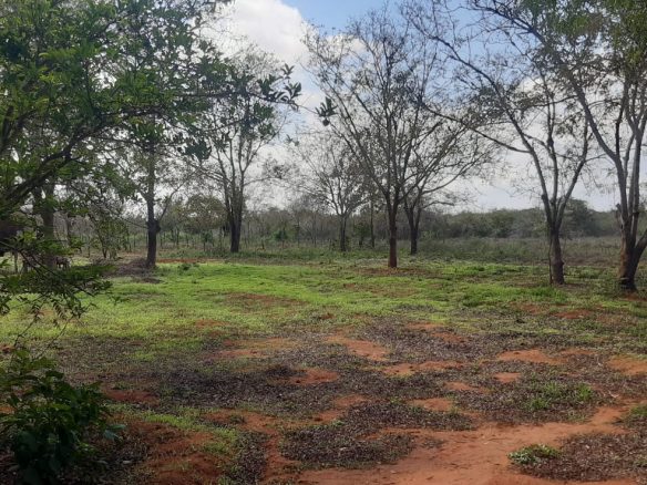 30 Acre land for sale In Malindi