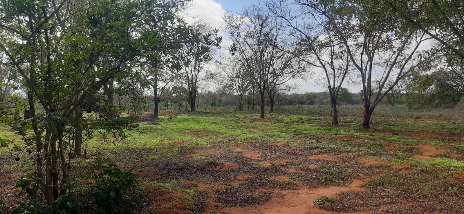 30 Acre land for sale In Malindi