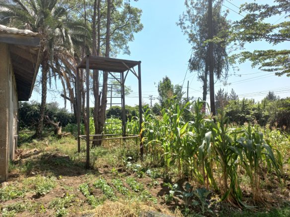 Amorous half acre at Area 58 next to Optimum Hospital in Nakuru.