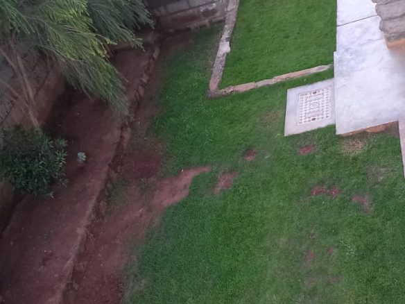 Out door store and garden, from master bedroom balcony