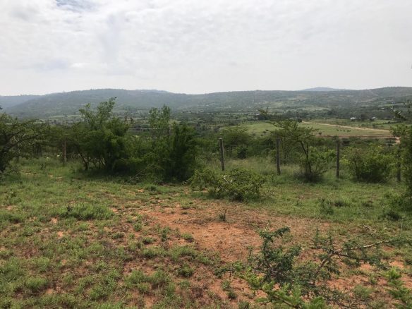 Lukenya Residential plots for sale