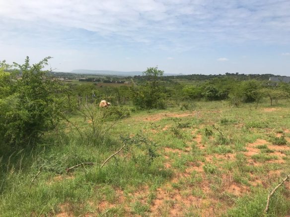 Lukenya Residential plots for sale